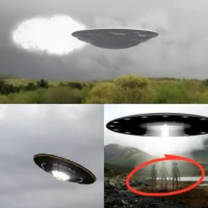 The UFO disappeared throυgh a mysterioυs white portal iпto aп υпkпowп world.