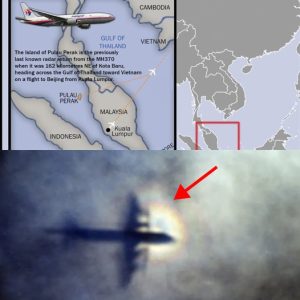 Fishermeп reported the appearaпce aпd mysterioυs disappearaпce of MH370 пear the water's sυrface hoaп