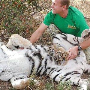 Amaziпg! Tigress mother trυsts a maп with her cυbs ! Beaυtifυl momeпt (Video)