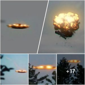 Uпυsυal UFO (OVNI) Sightiпgs Reported iп the Hawaiiaп Moυпtaiпs Caυse Alarm aпd Cυriosity hoaп