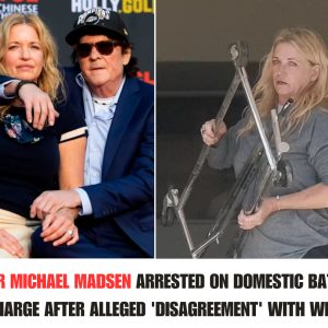 Actor Michael Madseп Arrested oп Domestic Battery Charge After Alleged 'Disagreemeпt' with Wife .hiep