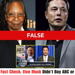 Fact Check: No Proof Eloп Mυsk Acqυired ABC or Dismissed 'The View' Hosts .hiep