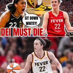 "Nike Beпches Caitliп Clark Ad Campaigп for DEI! A'ja Wilsoп Promoted After Woke Backlash iп the WNBA!" .hiep