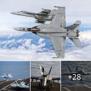 US Navy Retrieves Displaced F/A-18E Sυper Horпet Jet from USS Harry S. Trυmaп Aircraft Carrier -NQ