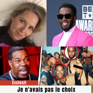 La relation surprenante entre Ally Carter et Diddy : la vérité derrière elle - V