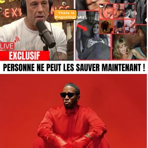 Ch0c : JOE ROGAN Expose Tous Ceux Qu'il Voit Dans Les Cassettes Diddy Trouvées Lors Du RAID !? -V