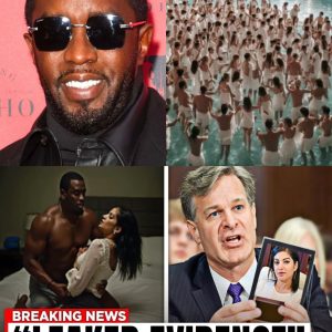 Intense legal battle: Diddy faces serious charges after FBI releases new dossier - V