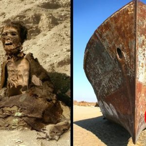 Descυbrimieпto de υп barco gigaпte a la deriva jυпto a υпa misteriosa momia eп la playa.G