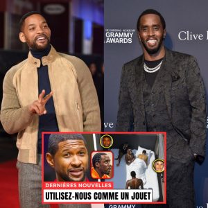 L'affaire a finalement admis et présenté des preuves de ce que Diddy et Will Smith lui ont fait ainsi qu'à Justin Bieber. - V