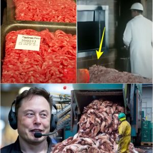 Elon Musk: “You Will Never Eat This Again After Knowing How It`s Made”.G